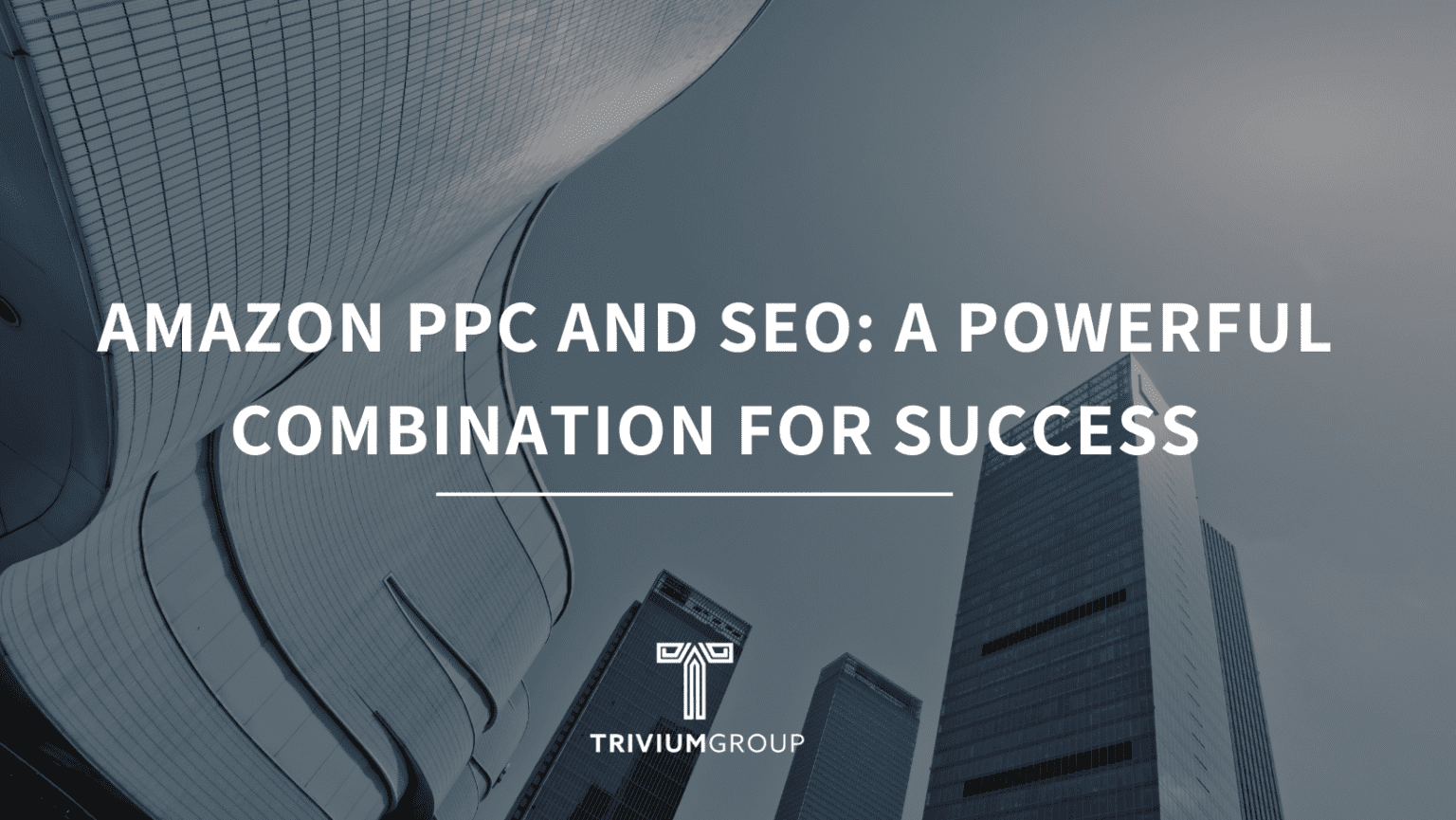 Succeeding With Amazon SEO Requires Amazon PPC