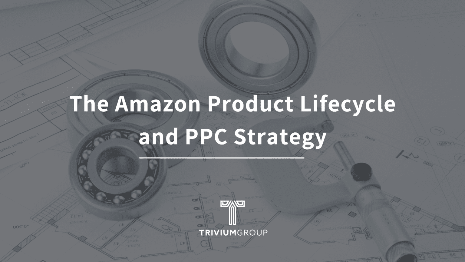 The Amazon Product Lifecycle And PPC Strategy